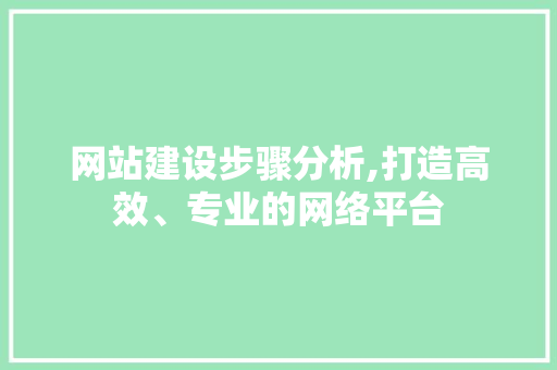 网站建设步骤分析,打造高效、专业的网络平台 网站建设步骤分析,打造高效、专业的网络平台 百度SEO