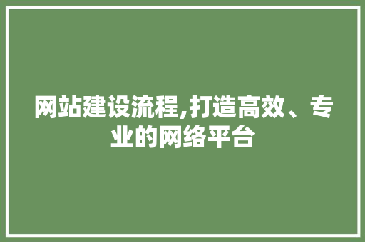 网站建设流程,打造高效、专业的网络平台