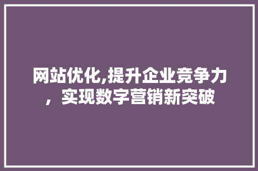 网站优化,提升企业竞争力，实现数字营销新突破
