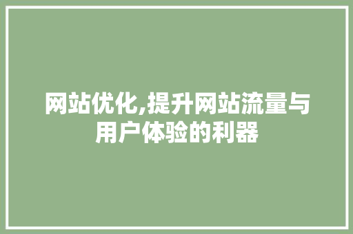 网站优化,提升网站流量与用户体验的利器