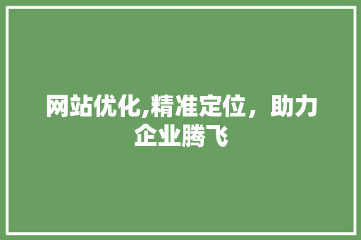 网站优化,精准定位，助力企业腾飞 网站优化,精准定位，助力企业腾飞 网站建设公司