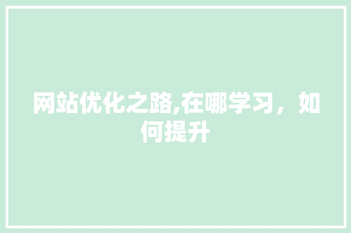 网站优化之路,在哪学习，如何提升