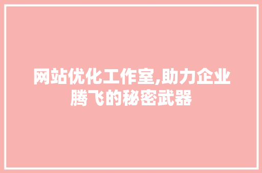 网站优化工作室,助力企业腾飞的秘密武器