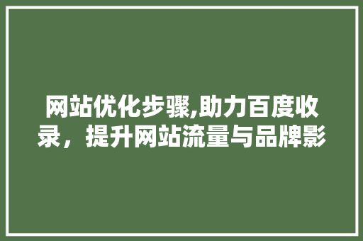网站优化步骤,助力百度收录，提升网站流量与品牌影响力