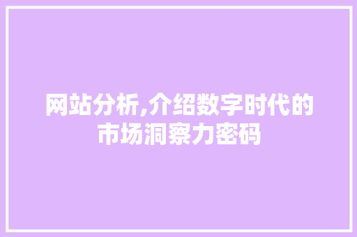 网站分析,介绍数字时代的市场洞察力密码