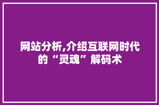网站分析,介绍互联网时代的“灵魂”解码术 网站分析,介绍互联网时代的“灵魂”解码术 SEO关键词