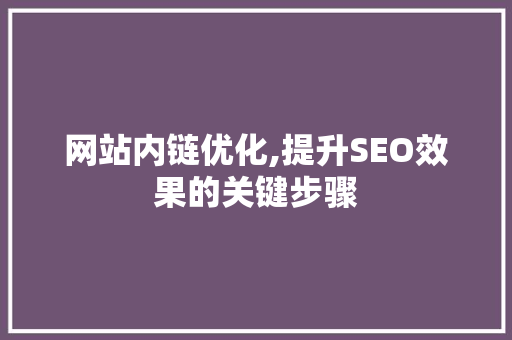 网站内链优化,提升SEO效果的关键步骤
