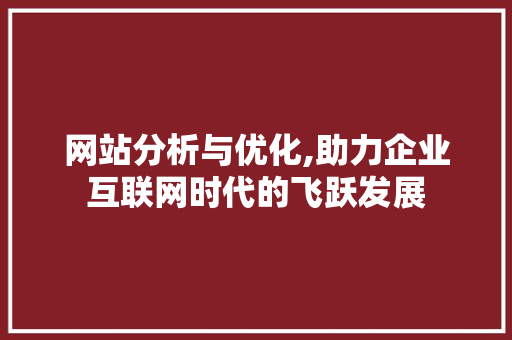 网站分析与优化,助力企业互联网时代的飞跃发展