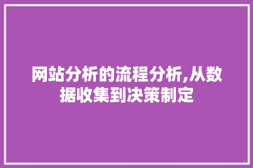 网站分析的流程分析,从数据收集到决策制定