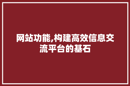 网站功能,构建高效信息交流平台的基石