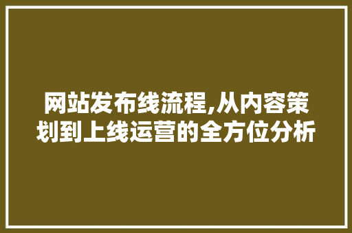 网站发布线流程,从内容策划到上线运营的全方位分析