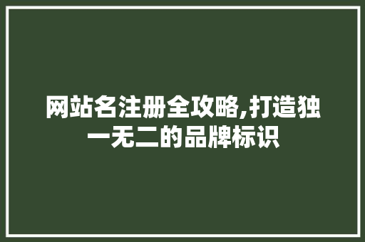 网站名注册全攻略,打造独一无二的品牌标识