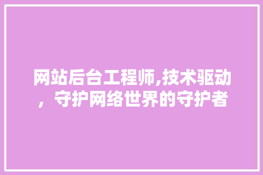 网站后台工程师,技术驱动，守护网络世界的守护者