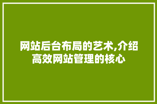 网站后台布局的艺术,介绍高效网站管理的核心