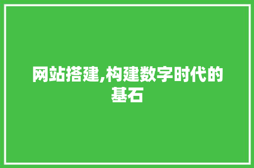 网站搭建,构建数字时代的基石