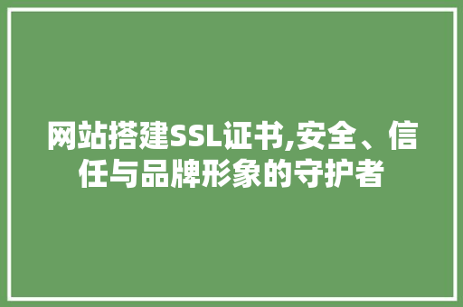 网站搭建SSL证书,安全、信任与品牌形象的守护者