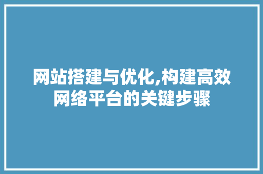 网站搭建与优化,构建高效网络平台的关键步骤