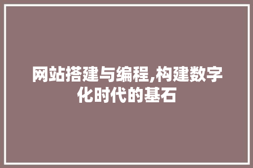 网站搭建与编程,构建数字化时代的基石