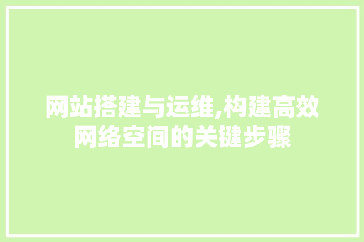 网站搭建与运维,构建高效网络空间的关键步骤