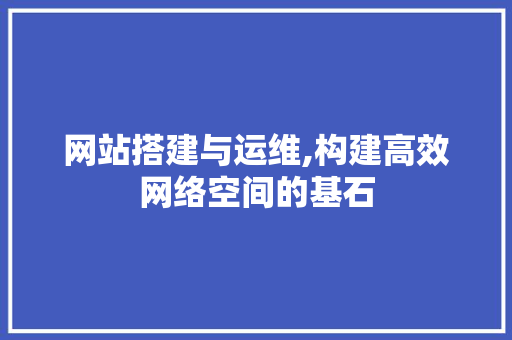 网站搭建与运维,构建高效网络空间的基石