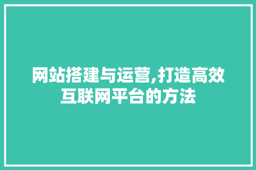 网站搭建与运营,打造高效互联网平台的方法