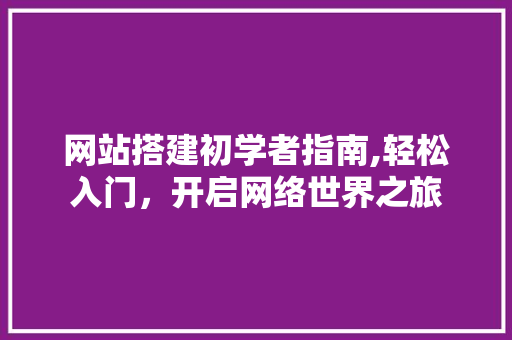 网站搭建初学者指南,轻松入门，开启网络世界之旅