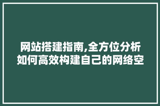 网站搭建指南,全方位分析如何高效构建自己的网络空间