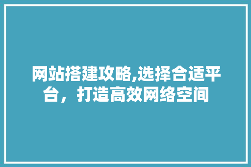 网站搭建攻略,选择合适平台，打造高效网络空间 网站搭建攻略,选择合适平台，打造高效网络空间 必应SEO