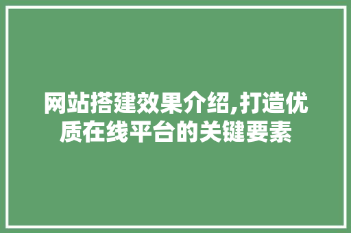 网站搭建效果介绍,打造优质在线平台的关键要素