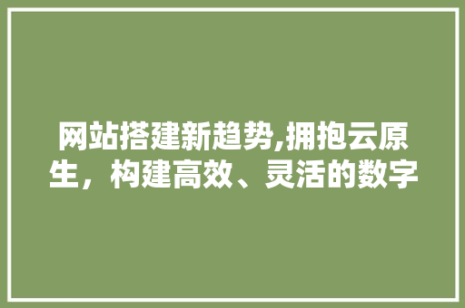 网站搭建新趋势,拥抱云原生，构建高效、灵活的数字平台