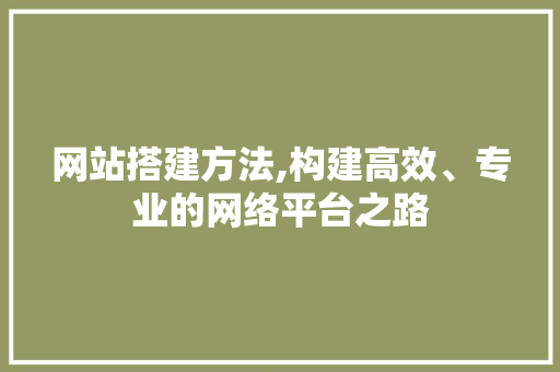 网站搭建方法,构建高效、专业的网络平台之路 网站搭建方法,构建高效、专业的网络平台之路 百度SEO