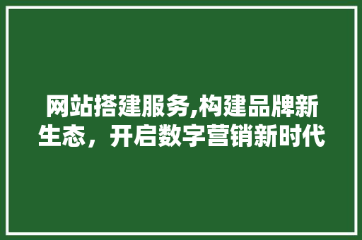 网站搭建服务,构建品牌新生态，开启数字营销新时代 网站搭建服务,构建品牌新生态，开启数字营销新时代 SEO关键词