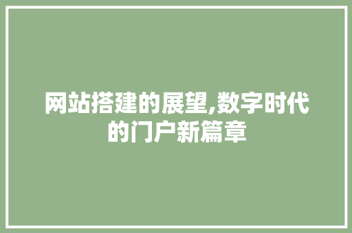 网站搭建的展望,数字时代的门户新篇章 网站搭建的展望,数字时代的门户新篇章 百度SEO