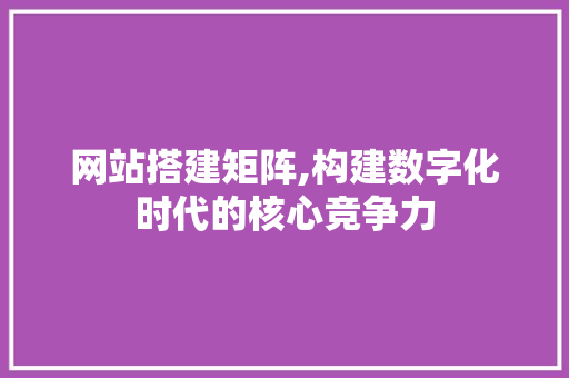 网站搭建矩阵,构建数字化时代的核心竞争力