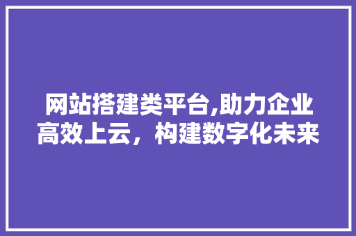 网站搭建类平台,助力企业高效上云，构建数字化未来