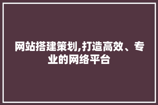 网站搭建策划,打造高效、专业的网络平台 网站搭建策划,打造高效、专业的网络平台 网站建设公司
