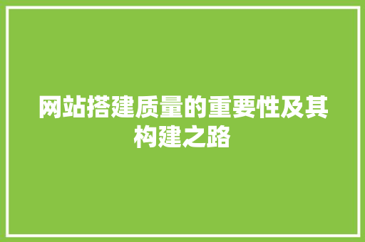 网站搭建质量的重要性及其构建之路