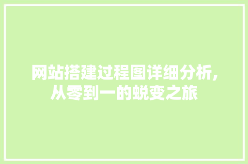 网站搭建过程图详细分析,从零到一的蜕变之旅