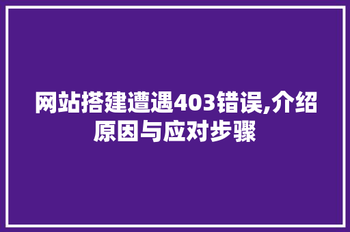 网站搭建遭遇403错误,介绍原因与应对步骤