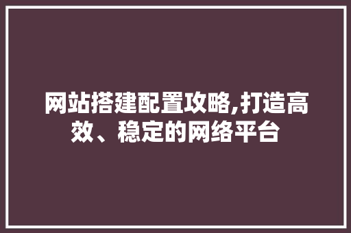 网站搭建配置攻略,打造高效、稳定的网络平台