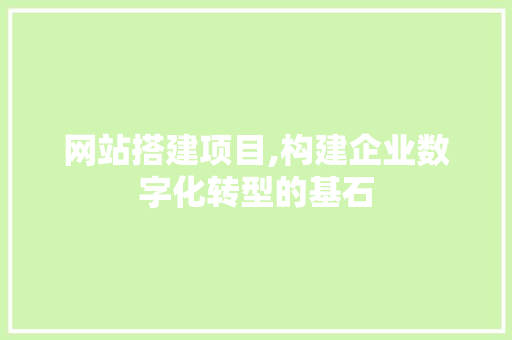 网站搭建项目,构建企业数字化转型的基石 网站搭建项目,构建企业数字化转型的基石 搜狗SEO