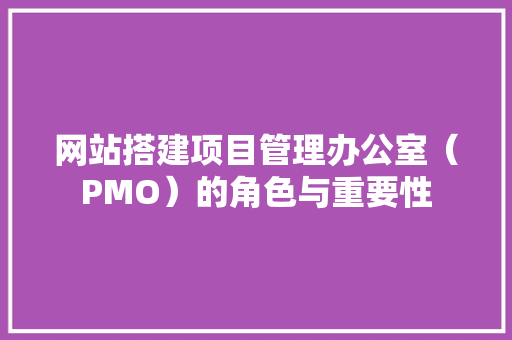 网站搭建项目管理办公室（PMO）的角色与重要性 网站搭建项目管理办公室（PMO）的角色与重要性 搜狗SEO
