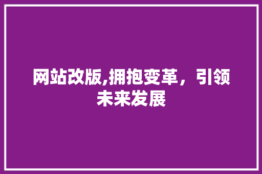 网站改版,拥抱变革，引领未来发展