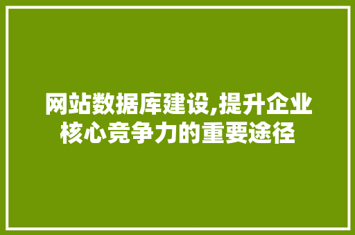 网站数据库建设,提升企业核心竞争力的重要途径