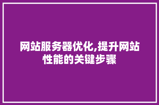 网站服务器优化,提升网站性能的关键步骤