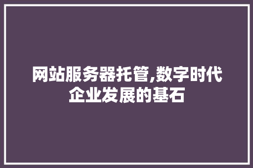网站服务器托管,数字时代企业发展的基石 网站服务器托管,数字时代企业发展的基石 SEO关键词