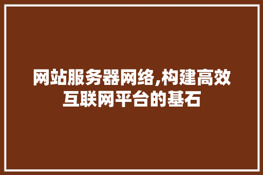 网站服务器网络,构建高效互联网平台的基石