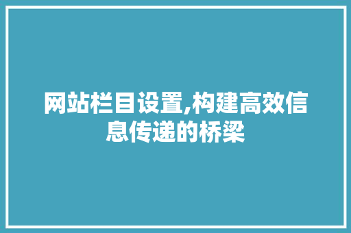 网站栏目设置,构建高效信息传递的桥梁