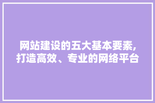 网站建设的五大基本要素,打造高效、专业的网络平台