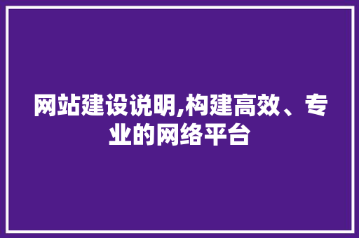 网站建设说明,构建高效、专业的网络平台